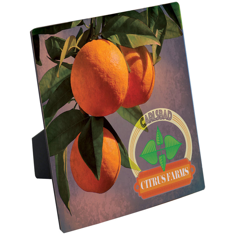 Flat Top Photo Panel w/Black Edge & Easel