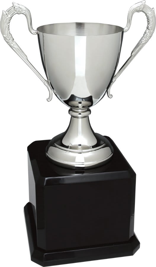 Swatkins Cup Trophy