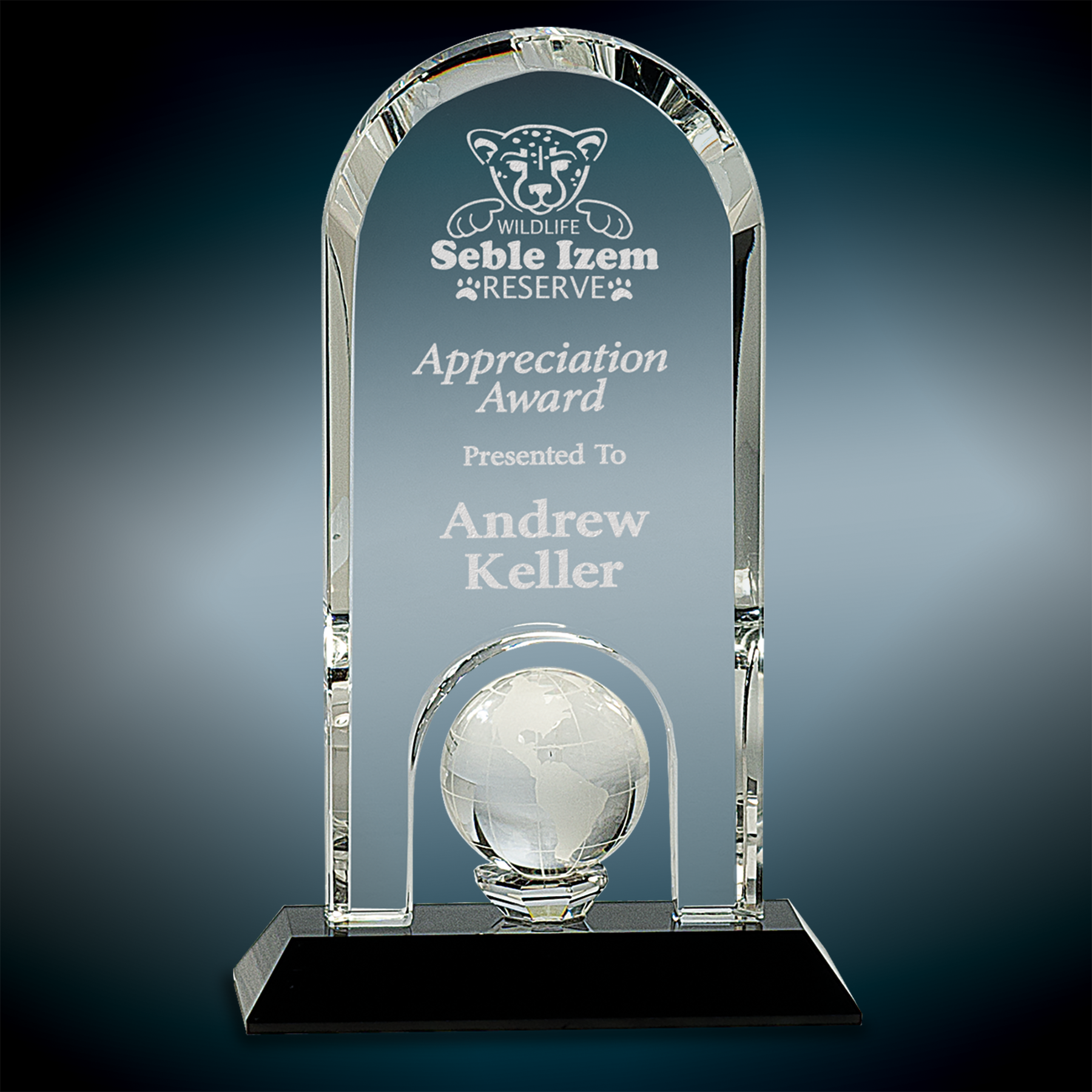 Crystal Dome Award with Inset Globe – JD's House of Trophies