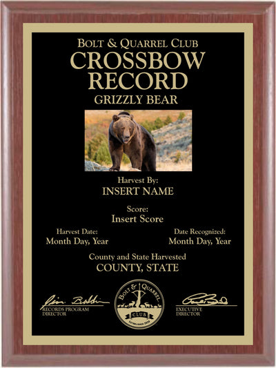 Crossbow Record Plaque (Multiple Sizes)