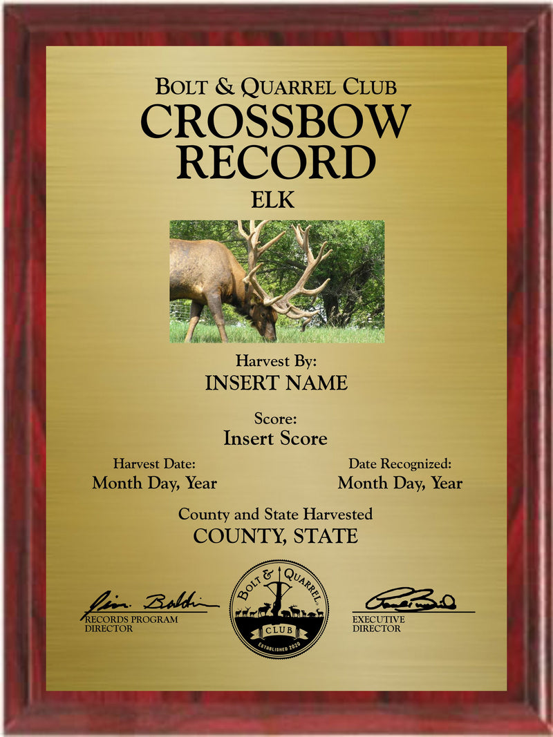 Crossbow Record Plaque (Multiple Sizes)