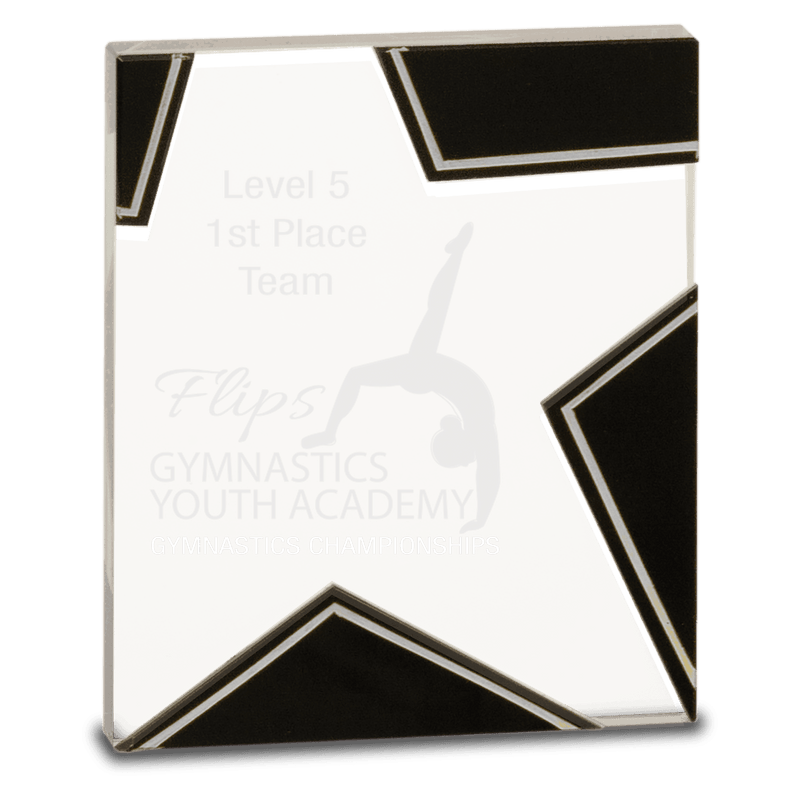 Silver and Black Star Glass Award