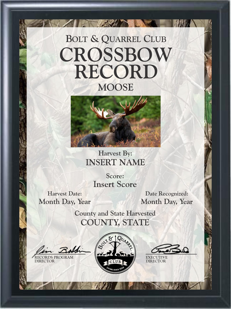 Crossbow Record Plaque (Multiple Sizes)