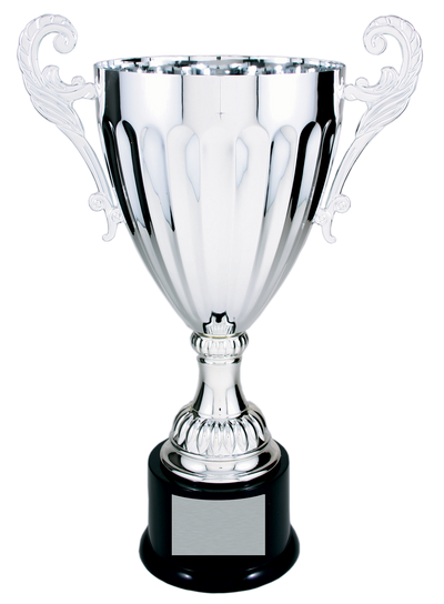 Silver Completed Metal Cup Trophy on Plastic Base