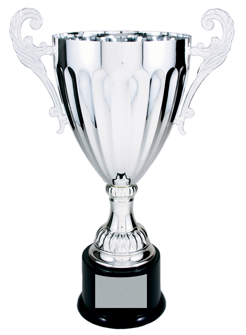 Silver Completed Metal Cup Trophy on Plastic Base