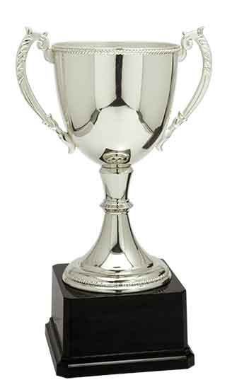 Silver Completed Zinc Cup Trophy on Black Plastic Base