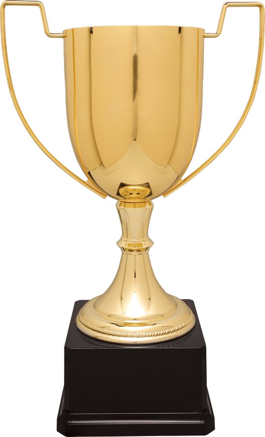 Gold Zinc Cup Trophy